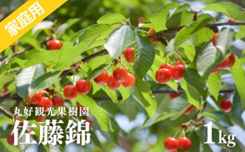 No.2713 さくらんぼ「佐藤錦」家庭用1kg【2025年発送】