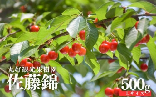 No.2714 さくらんぼ「佐藤錦」500g（Lサイズ）【2025年発送】