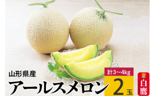 アールスメロン 2玉（3kg～4kg） 山形県産 【2025年9月順次発送予定】