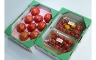 A-10 大分県玖珠町トマトファームのトマト３種セット