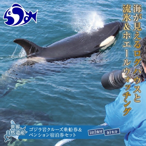ゴジラ岩観光クルーズ乗船券&ペンションラウスクル宿泊券セット(各1名分) F21M-972 911612 - 北海道羅臼町