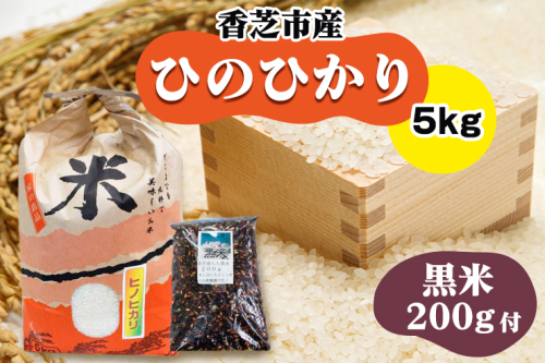 令和6年産！ひのひかり5kgと黒米200gセット(奈良県香芝市産) [2833] 91178 - 奈良県香芝市