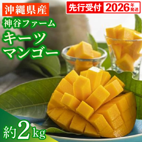 【先行受付】【2026年発送】神谷ファームのキーツマンゴー 約2kg - 先行予約 沖縄県産 産地直送 南国フルーツ 旬の味覚 季節の果物 希少種 贈り物 ギフト 沖縄県 八重瀬町 91206 - 沖縄県八重瀬町
