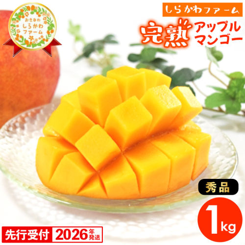 【先行受付】【2026年発送】しらかわファームのアップルマンゴー 秀 約1kg - 先行予約 沖縄 産地直送 南国フルーツ 旬の味覚 旬のフルーツ 贈り物 ギフト 沖縄県 八重瀬町 91216 - 沖縄県八重瀬町