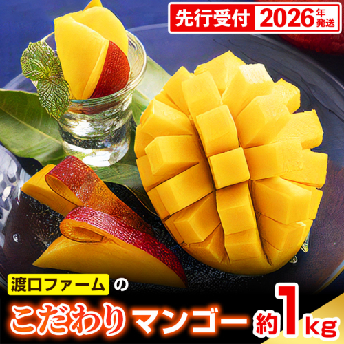 【化粧箱入】【先行受付・2026年発送】渡口ファームのこだわりマンゴー約1kg - 先行予約 沖縄県産 産地直送 南国フルーツ 旬の味覚 季節の果物 贈り物 ギフト 沖縄県 八重瀬町 91218 - 沖縄県八重瀬町