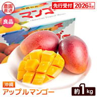 【化粧箱入】【先行受付・2026年発送】ヤマト農園 アップルマンゴー約1kg（良品）- 先行予約 沖縄県産 産地直送 南国フルーツ 旬の味覚 季節の果物 贈り物 ギフト 沖縄県 八重瀬町