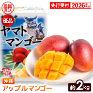 【化粧箱入】【先行受付・2026年発送】ヤマト農園 アップルマンゴー約2kg（優品）- 先行予約 沖縄県産 産地直送 南国フルーツ 旬の味覚 季節の果物 贈り物 ギフト 沖縄県 八重瀬町