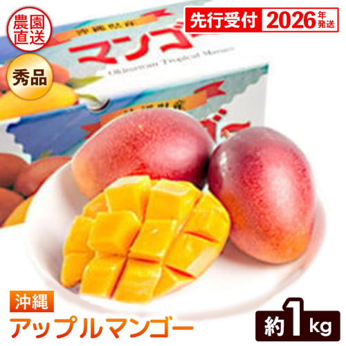 【化粧箱入】【先行受付・2026年発送】ヤマト農園 アップルマンゴー約1kg（秀品）- 先行予約 沖縄県産 産地直送 南国フルーツ 旬の味覚 季節の果物 贈り物 ギフト 沖縄県 八重瀬町 91235 - 沖縄県八重瀬町