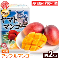 【化粧箱入】【先行受付・2026年発送】ヤマト農園 アップルマンゴー約2kg（秀品）- 先行予約 沖縄県産 産地直送 南国フルーツ 旬の味覚 季節の果物 贈り物 ギフト 沖縄県 八重瀬町