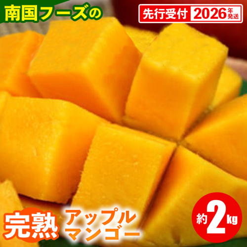 【先行受付】【2026年発送】南国フーズの完熟アップルマンゴー 約2kg - 先行予約 沖縄県産 産地直送 南国フルーツ 旬の味覚 旬のフルーツ 贈り物 ギフト 沖縄県 八重瀬町 91237 - 沖縄県八重瀬町