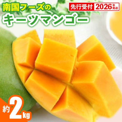 【先行受付】【2026年発送】南国フーズのキーツマンゴー 約2kg - 先行予約 沖縄 産地直送 南国フルーツ 旬の味覚 沖縄県産 国産マンゴー 希少種 オススメ 沖縄県 八重瀬町 91238 - 沖縄県八重瀬町