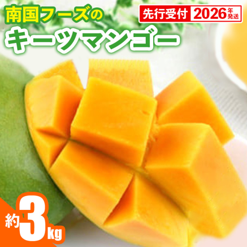 【先行受付】【2026年発送】南国フーズのキーツマンゴー 約3kg - 先行予約 沖縄 産地直送 南国フルーツ 旬の味覚 沖縄県産 国産マンゴー 希少種 オススメ 沖縄県 八重瀬町 91239 - 沖縄県八重瀬町