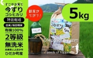 無洗米 5kg（白米）コシヒカリ お米 今ずり米 兵庫県但馬産