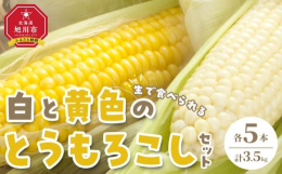 夏の北海道を代表する果実、生でも食べられる「白と黄色のスイートコーン（とうもろこし）セット」をお届けします！【受付期間】〜2025年8月31日まで【発送時期】2025年8月上旬〜9月上旬に準備でき次第