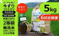 無洗米 5kg×6回（毎月）コシヒカリ（白米）今ずり米 兵庫県但馬産【定期便】