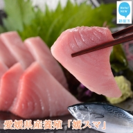 全身トロの高級養殖魚 まるごと媛スマ（1.7～1.8kg）１尾 （鮮魚・冷蔵）愛媛県産