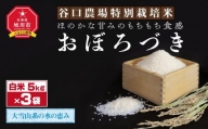 令和5年産のお米　おぼろづき　5kg3袋　ほのかな甘みのもちもち食感　谷口農場特別栽培米_00922