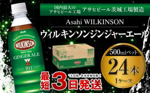 ウィルキンソン ジンジャーエール 500mlペット 24本入り1ケース 914561 - 茨城県守谷市
