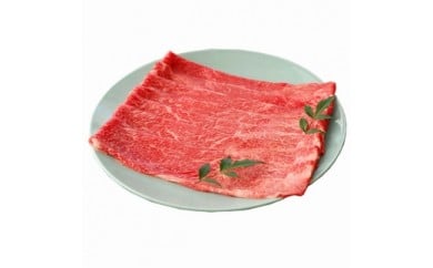土佐和牛霜降りスライス(うで)500g すき焼き・しゃぶしゃぶ用牛肉 すきやき 鍋 送料無料 お取り寄せ 和牛 しゃぶしゃぶ シャブシャブ 高知県産 お鍋 食材 特産品 ギフト 【SaNeYam】(新)〈高知市共通返礼品〉お歳暮 御歳暮 91574 - 高知県芸西村