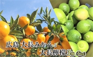 広島 大長みかんと大長檸檬3個セット 5kg