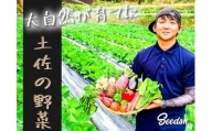 [高知県香美市]新鮮野菜BOX(味わいセット)8〜12種