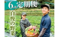 【高知県香美市】新鮮野菜BOX定期便・偶数月にお届け(6カ月便）8～12種
