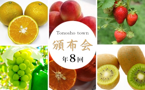【8回お届け】土庄町 季節の果物 91797 - 香川県土庄町