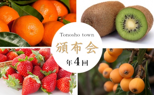 【4回お届け】土庄町 季節の果物 91798 - 香川県土庄町