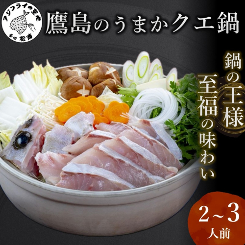 鷹島のうまかクエ鍋用(2～3人前)( 鷹島産 クエ 絶品 鱗処理済み クエ鍋 高級魚 )【C9-011】 9179 - 長崎県松浦市