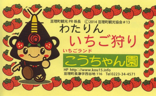 【 こうちゃん いちご園 】3月~ いちご狩り スタート!!大人2名分