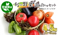 旬の野菜詰め合わせセット 10~13品目 約4~5kg