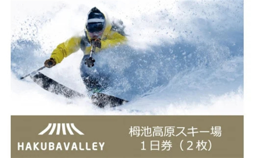 HAKUBA VALLEY 栂池高原スキー場リフト1日券（大人）2枚 91941 - 長野県小谷村