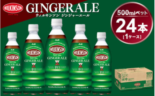 ウィルキンソン ジンジャーエール 500mlペット 24本入り1ケース ペットボトル入り 919658 - 茨城県守谷市