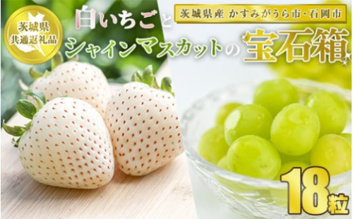 【先行予約】【茨城県共通返礼品　かすみがうら市と石岡市産】白いちごとシャインマスカットの宝石箱　18粒※2025年12月上旬～2026年1月下旬頃に順次発送予定