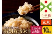 【玄米】つや姫 10kg（特別栽培米）令和5年産 山形県産 しらたかのお米