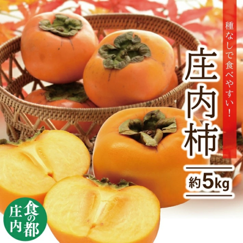 SA2578　庄内柿　約5kg(25～31玉入) L～4Lサイズ 920564 - 山形県酒田市