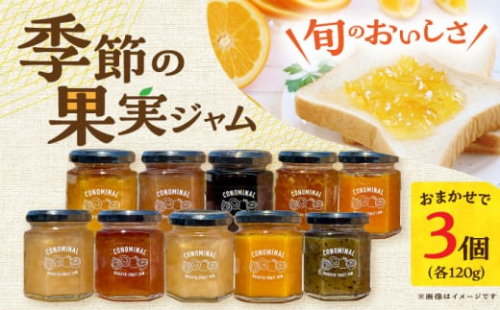 季節の果実ジャム 3個（各120g） 長与町/アグリューム [EAI088] 瓶 セット ジャム じゃむ 季節の果実 果物 詰め合わせ フルーツジャム 国産 10000円 1万円
