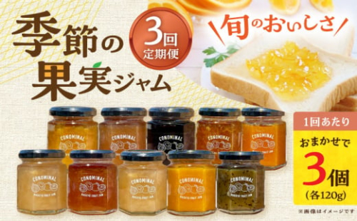 【3回定期便】季節の果実ジャム 3個（各120g） 長与町/アグリューム [EAI089] 瓶 セット ジャム