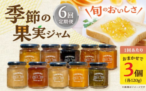 【6回定期便】季節の果実ジャム 3個（各120g） 長与町/アグリューム [EAI090] 瓶 セット ジャム