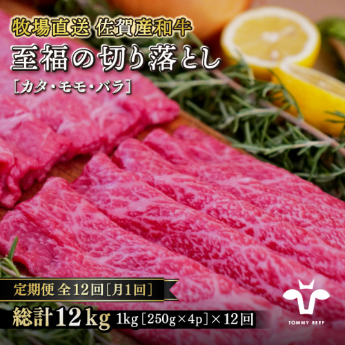 【定期便12回】【牧場直送】佐賀産黒毛和牛 至福のきりおとし1kg：C250-023 920647 - 佐賀県佐賀市