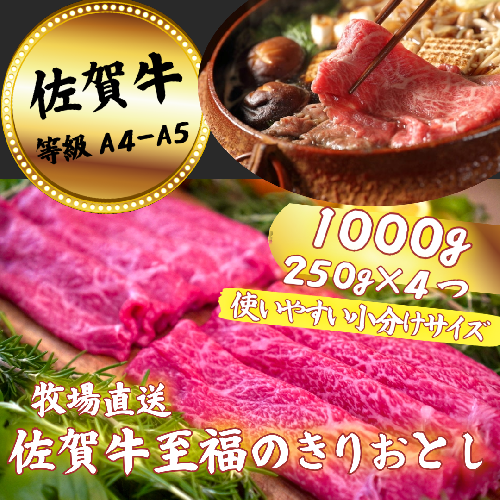 【定期便12回】佐賀牛 至福のきりおとし 1000g（250g×4P）：C250-030 920647 - 佐賀県佐賀市