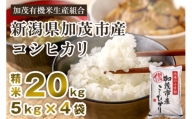 【令和5年産米】新潟県加茂市産コシヒカリ 精米20kg（5kg×4）白米 加茂有機米生産組合