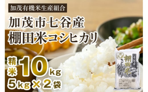 【令和6年産米】新潟県加茂市 七谷産 棚田米コシヒカリ 精米10kg（5kg×2）白米 加茂有機米生産組合