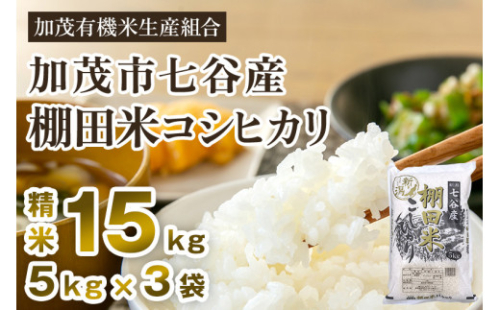 【令和6年産米】新潟県加茂市 七谷産 棚田米コシヒカリ 精米15kg（5kg×3）白米 加茂有機米生産組合