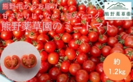 【４月価格改定予定】熊野薬草園のミニトマト（1.2㎏） トマト ミニトマト 熊野