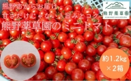 【４月価格改定予定】熊野薬草園のミニトマト（1.2㎏×２箱） トマト ミニトマト 熊野