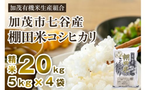 【令和6年産米】新潟県加茂市 七谷産 棚田米コシヒカリ 精米20kg（5kg×4）白米 加茂有機米生産組合