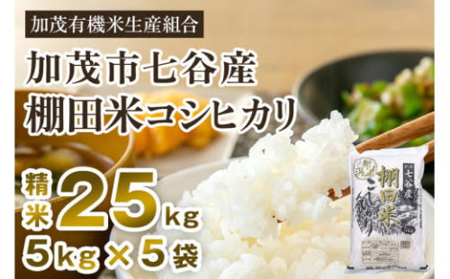 【令和6年産米】新潟県加茂市 七谷産 棚田米コシヒカリ 精米25kg（5kg×5）白米 加茂有機米生産組合