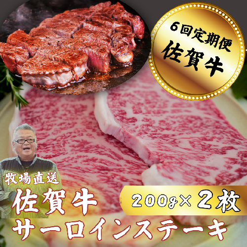 【定期便6回】佐賀牛サーロインステーキ 200g×2枚：C117-041 921006 - 佐賀県佐賀市