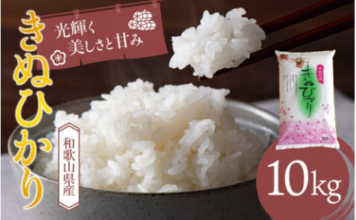 和歌山県産 キヌヒカリ 10kg(2024年産)  産地直送 米 こめ ご飯 ごはん  【sml100E】